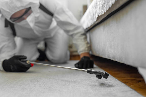 Professional Termite Control technician working in Montverde, FL