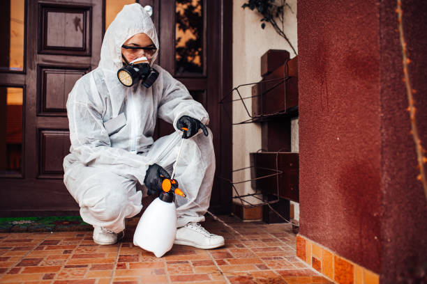 Reliable Termite Control contractor in Montverde, FL by Nex Pest Control